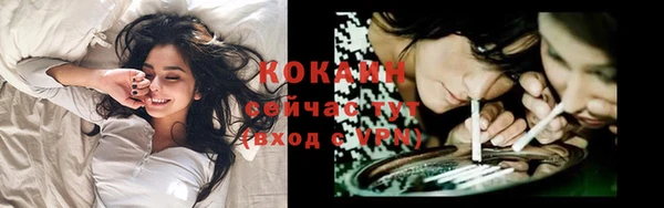 шишки Богданович