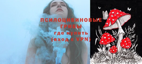 ГАЛЛЮЦИНОГЕННЫЕ ГРИБЫ Богородицк