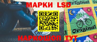 индика Пенза