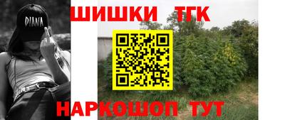индика Пенза