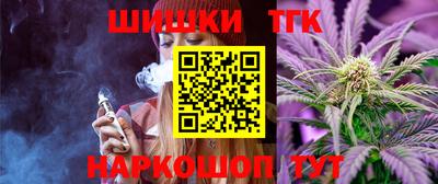 индика Пенза