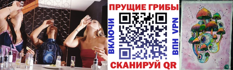 Галлюциногенные грибы Magic Shrooms Северск
