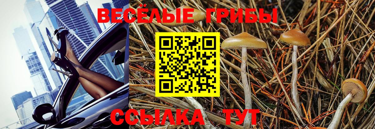 Галлюциногенные грибы GOLDEN TEACHER Северск