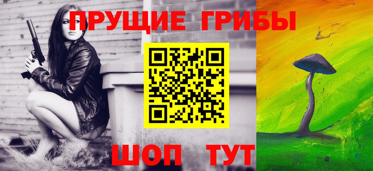 Псилоцибиновые грибы MAGIC MUSHROOMS  Вход с VPN  что такое   Северск 