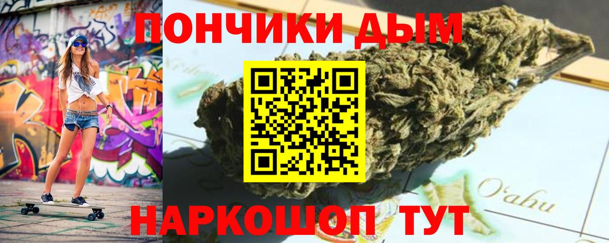 Бошки марихуана план  Каннабис сатива  Северск  МАРИХУАНА THC 21%  Канабис сатива  Вход с VPN 